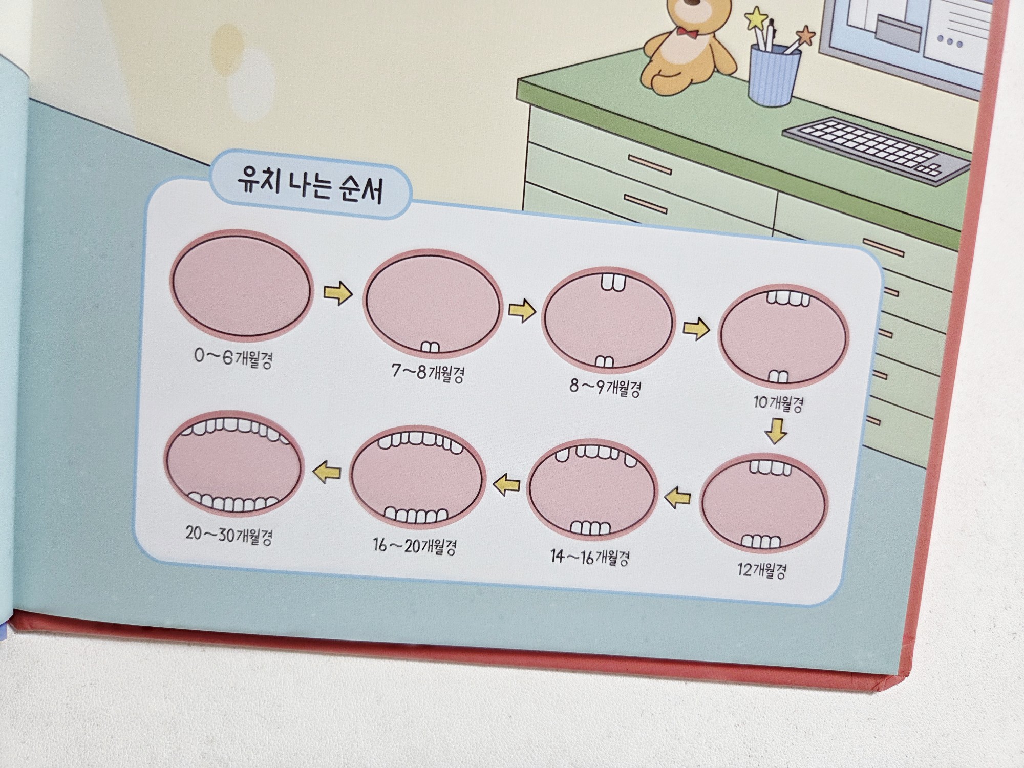 초등 교과 배경 지식 동화 망고라이언 지식체험동화#2280 구매자 리뷰 사진