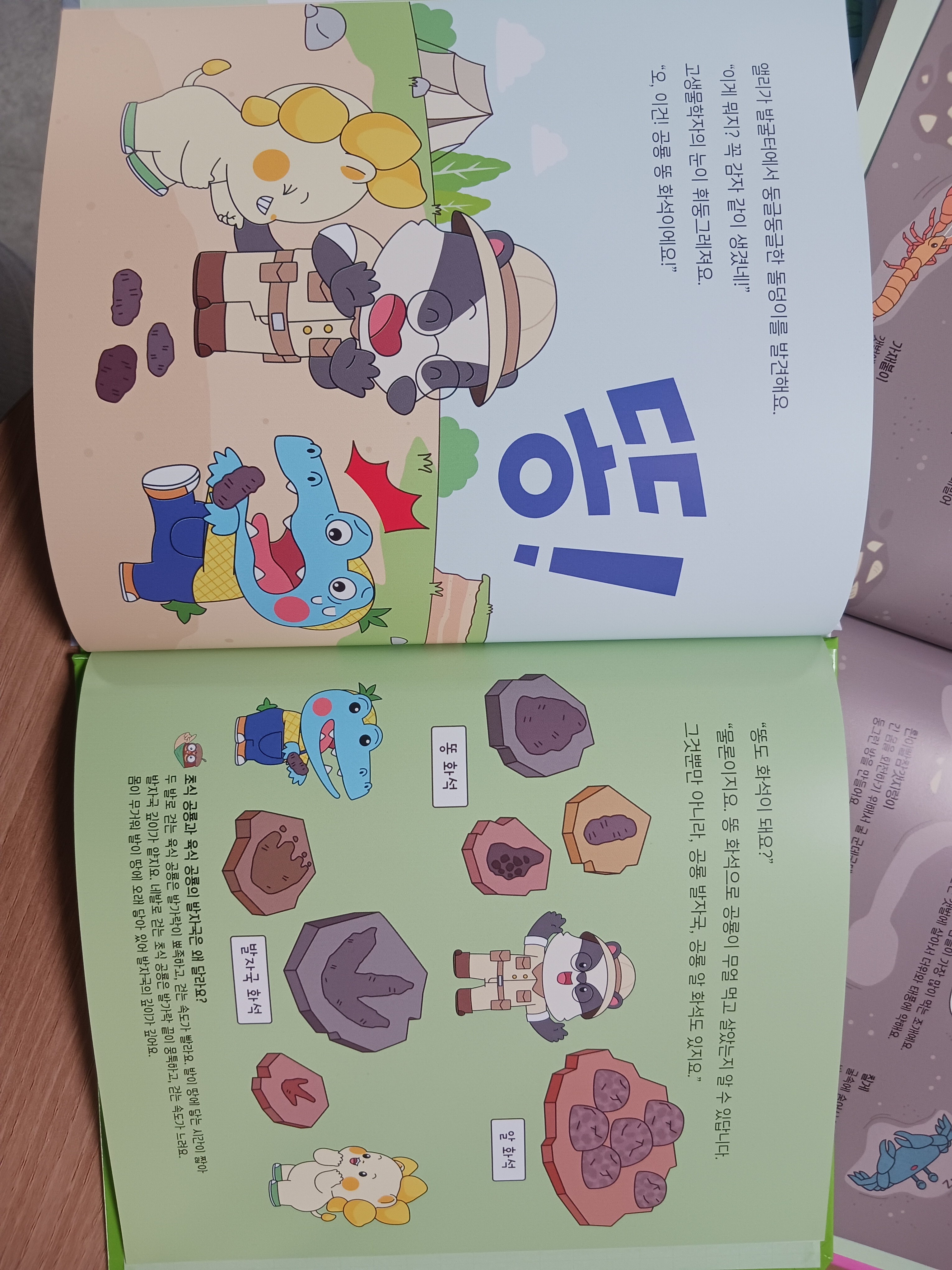 초등 교과 배경 지식 동화 망고라이언 지식체험동화#2280 구매자 리뷰 사진